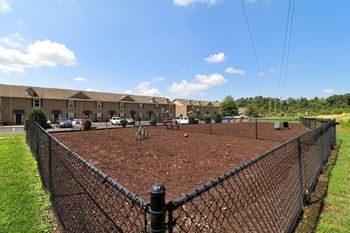 Bark park with seating
